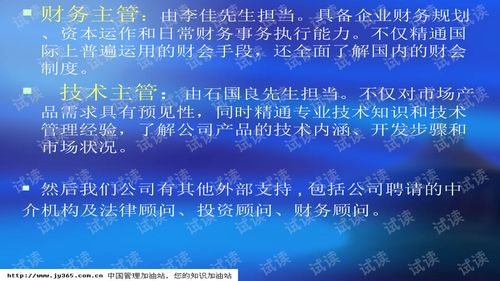 武漢市XX科技開發有限責任公司商業計劃書